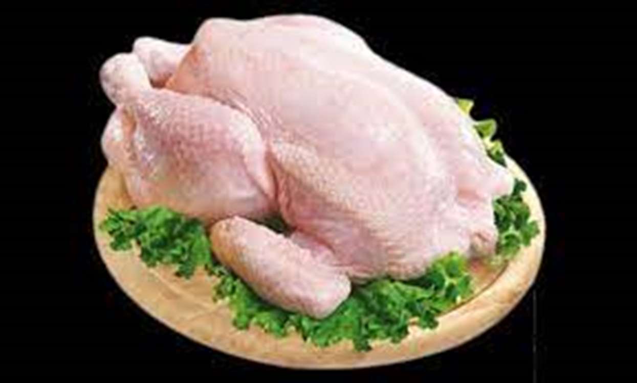 مرغ گرم 